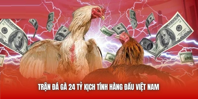 Trận đá gà 24 tỷ kịch tính hàng đầu Việt Nam