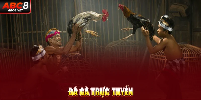 Đá gà trực tuyến