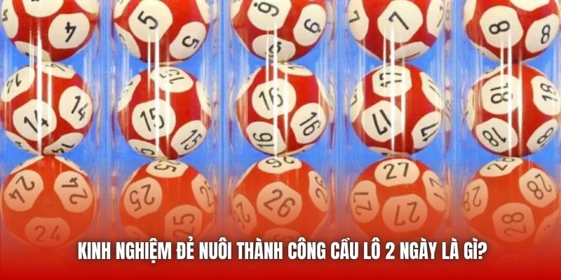 Kinh nghiệm để nuôi thành công cầu lô 2 ngày là gì?