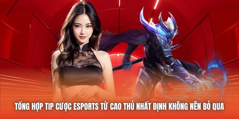 Tổng hợp tip cược eSports từ cao thủ nhất định không nên bỏ qua