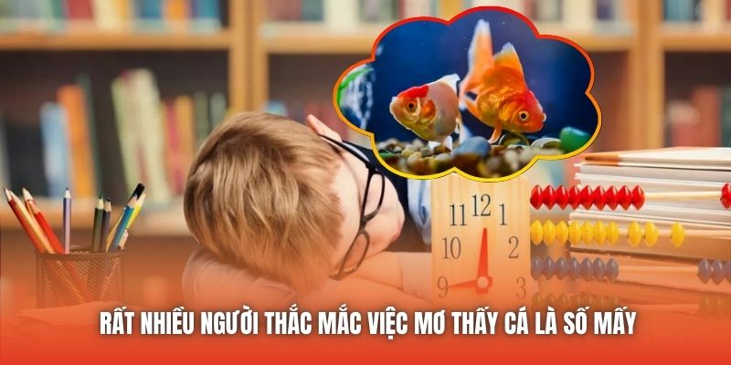 Rất nhiều người thắc mắc việc giấc mơ thấy cá là số mấy