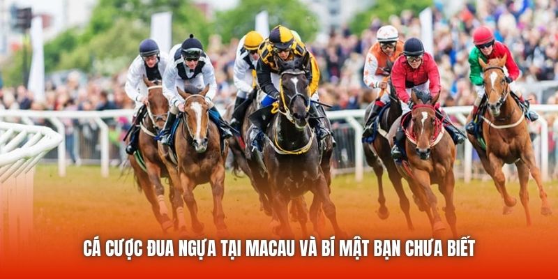 Cá Cược Đua Ngựa Tại Macau Và Bí Mật Bạn Chưa Biết