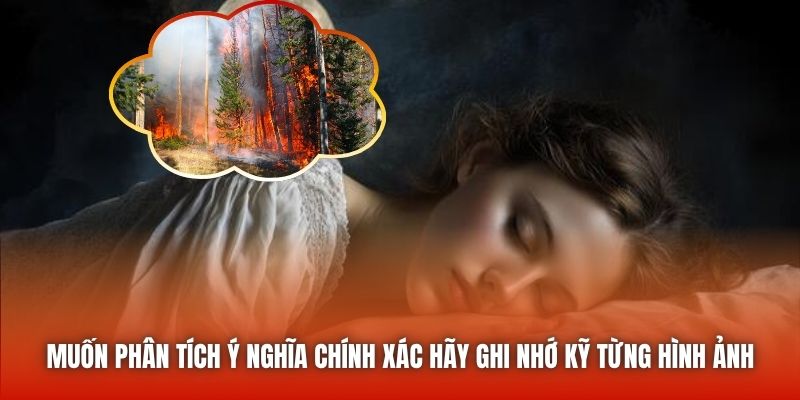 Muốn phân tích ý nghĩa chính xác hãy ghi nhớ kỹ từng hình ảnh