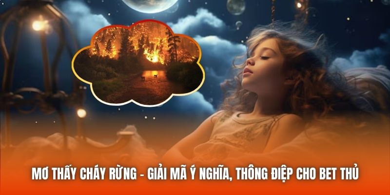 Mơ Thấy Cháy Rừng - Giải Mã Ý Nghĩa, Thông Điệp Cho Bet Thủ